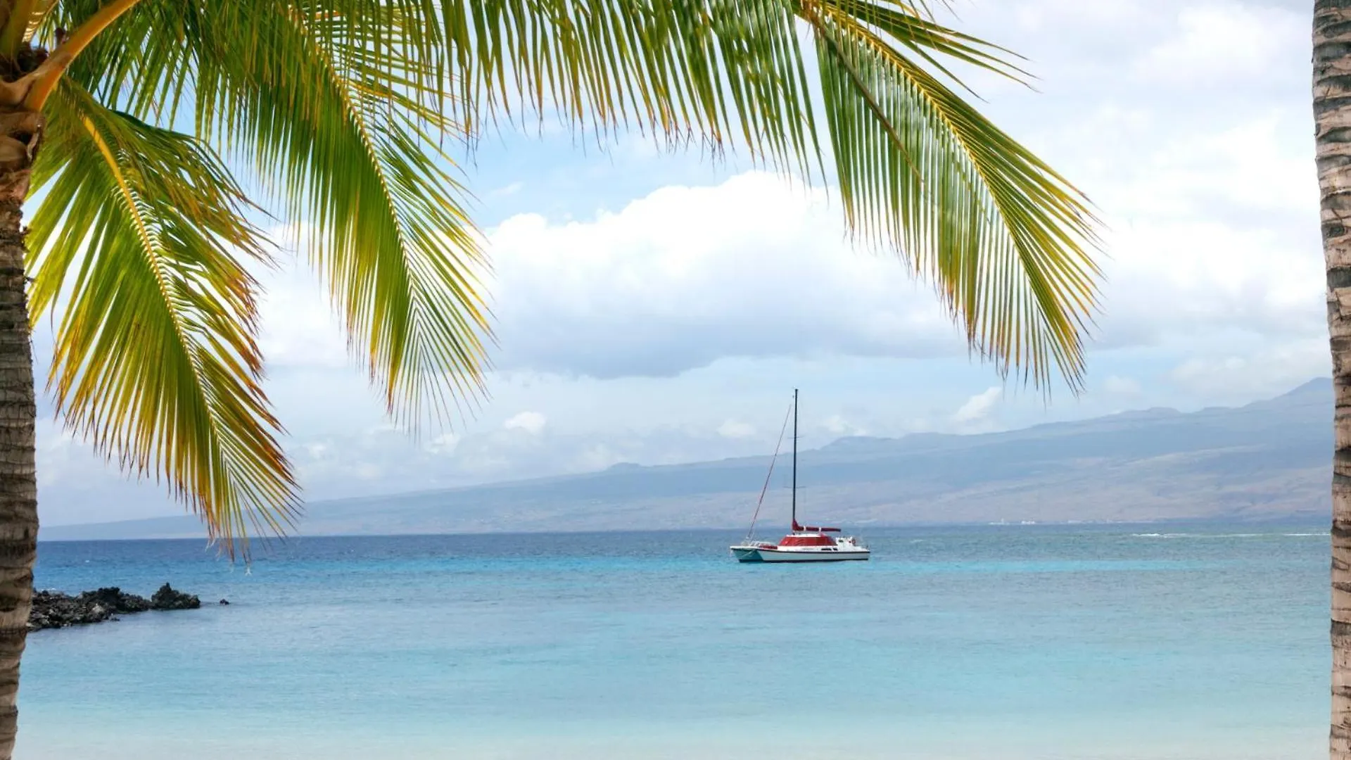Pih: Aloha Palms~ Fully Detached Home Beach Gear Bikes Waikoloa
